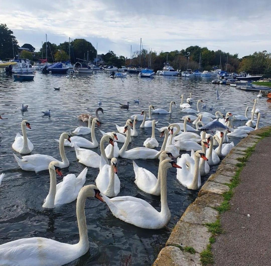 Apartamento Mudeford Swans Christchurch  Exterior foto